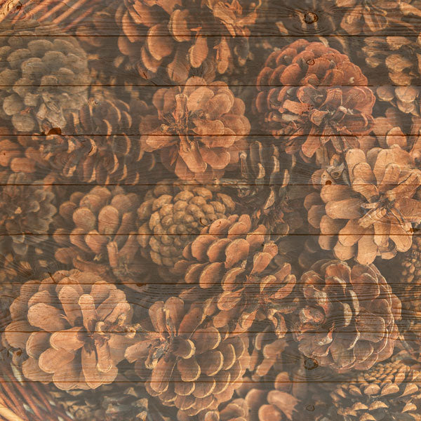 Pine Tree/ Cone Background Paper - Scrapbook Customs