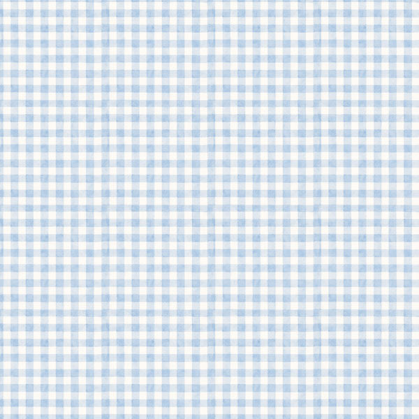 Baby Boy Footprints & Gingham Paper - Scrapbook Customs