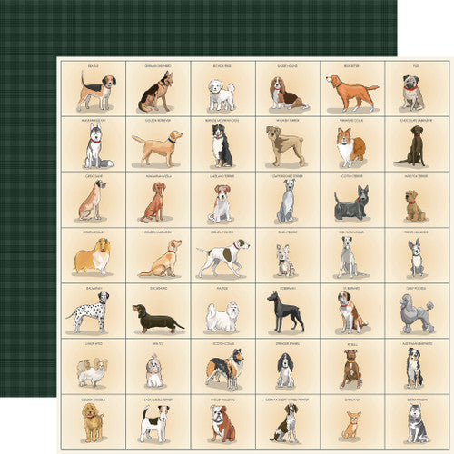 Best in Show Collection Kit - Carta Bella