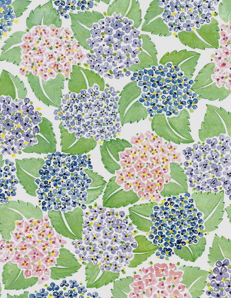 Hydrangea 8 1/2 x 11 Paper - Frances Meyer image 0