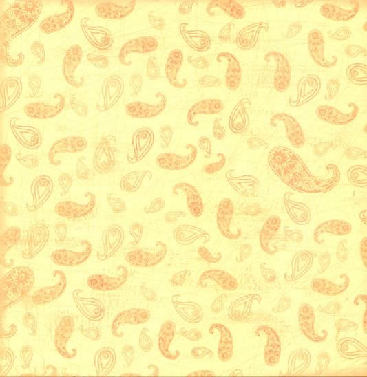 Pretty in Paisley Paper - Carolees Creaioin image 0