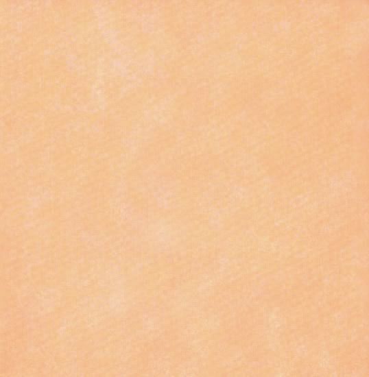 Sunset Orange Paper Sheet - Carolees Creation image 0