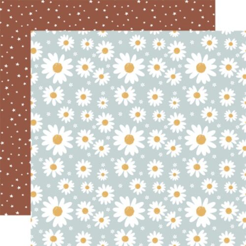 Daisy Dreams Paper/Dream Big Little Girl - Echo Park